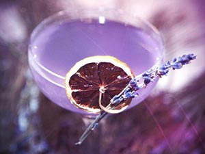 A purple cocktail in a glass with a dried orange and a stem of lavender on the side
