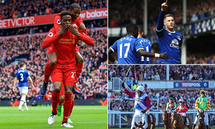 Three tiled images of footballers from Liverpool and Everton, and some horses racing at Aintree