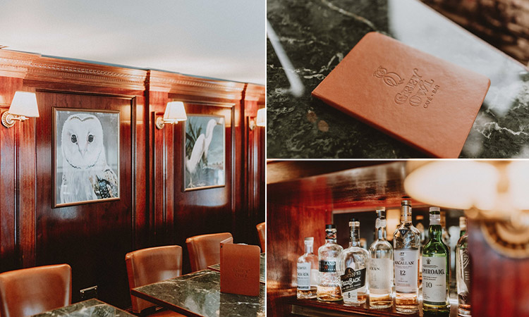 Three tiled images of Grey Owls