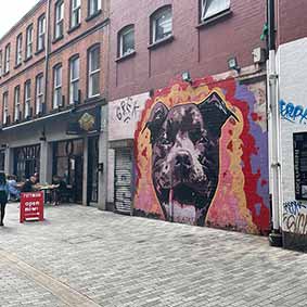  Street art of a huge bulldog with a colourful background on the front of a garage 