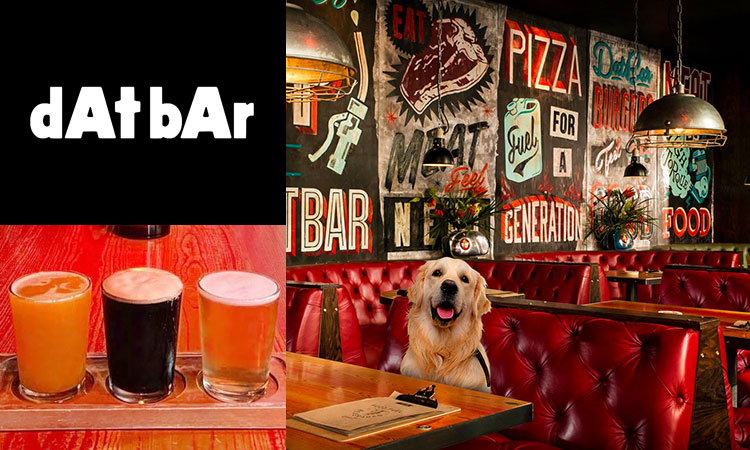 dAt bAr, Newcastle. Image montage featuring dog stag do. Bar crawl pub #2