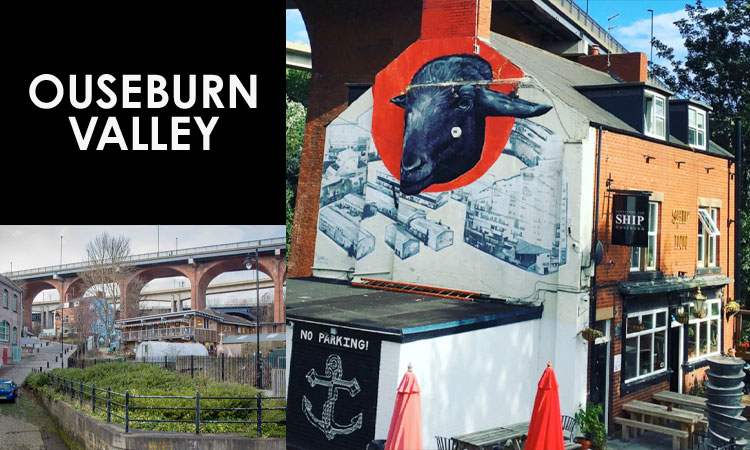 Ouseburn, Newcastle. Montage of pubs suitable for dogs…even those on a stag do