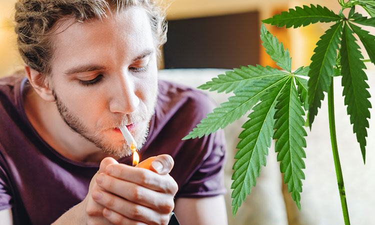 A man lighting a cigarette on a sofa next to some weed