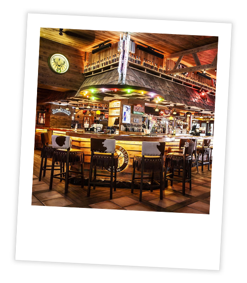 A Polaroid of the inside of Western Saloon which is a western themed bar with cow patterned chairs