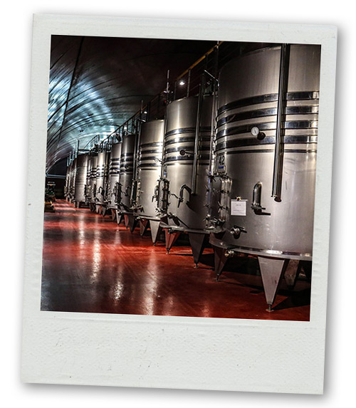 A Polaroid of a room in a brewery with lots of beer tanks