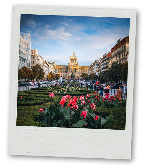 A Polaroid of Wenceslas Square with a garden that has flowers