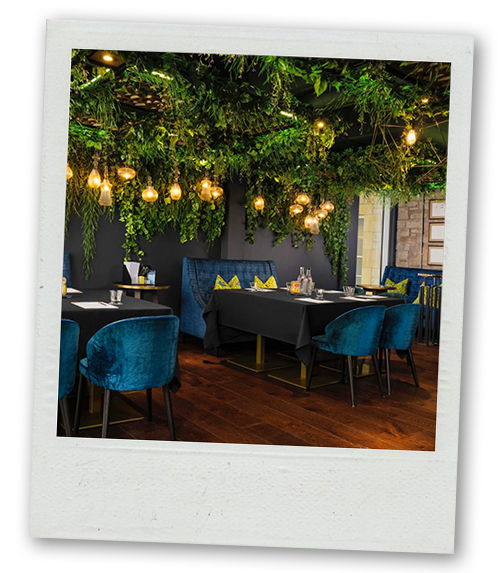 A Polaroid of a restaurant that has green plants hanging from the ceiling and plush blue chairs