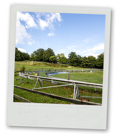 A Polaroid of a wide shot of a toboggan run