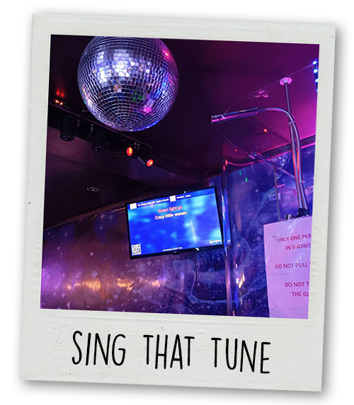 A Polaroid of a karaoke set up with a discoball and the caption Sing That Tune