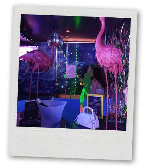 A Polaroid of a woman singing karaoke between two decorative flamingos