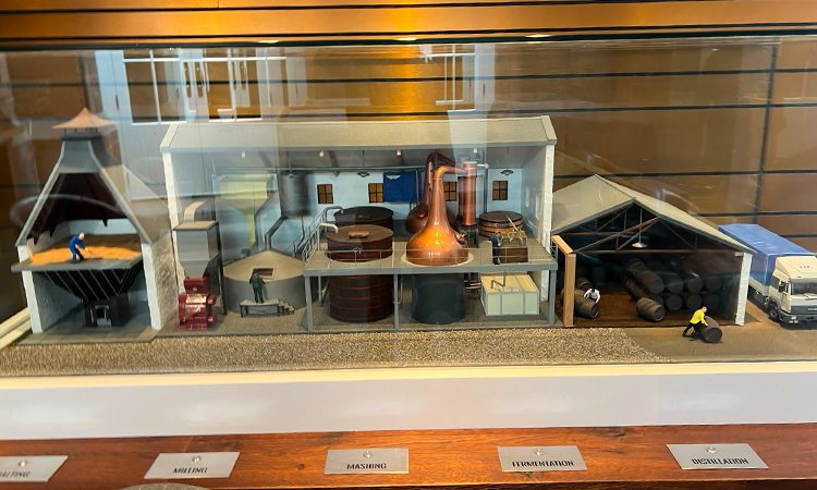 A model showing how whisky is made