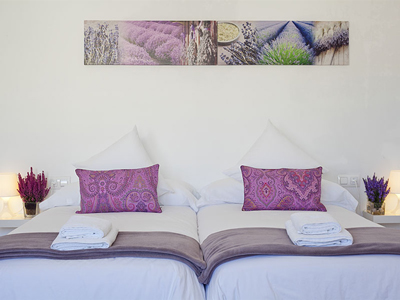 A blue sofa facing a coffee tables topped with plants and a bottle of wine
