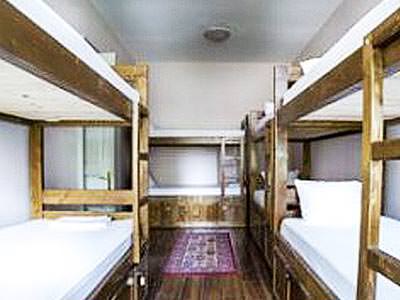 Some bunk beds lining the walls in a room with wooden floorboards