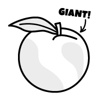 Roald Dahl - Rank #2