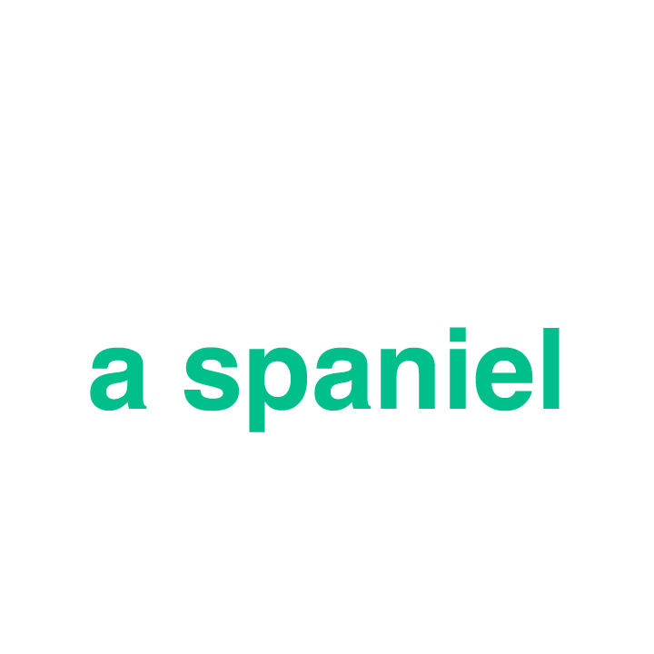 Second Line of Text