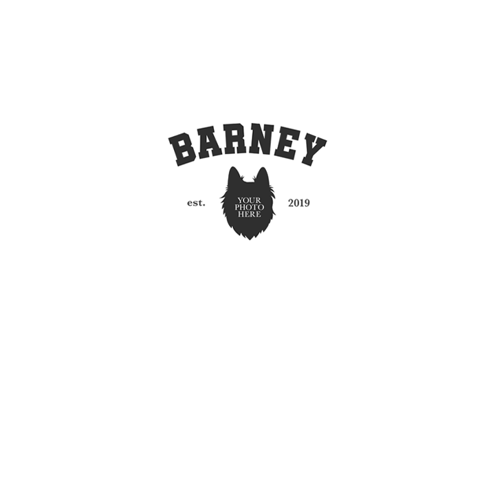 Pet Varsity Style Embroidery Hoodie - front view