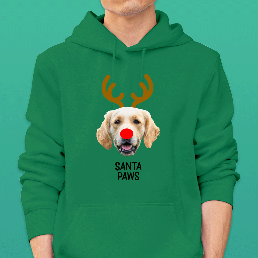 Pet Reindeer Hoodies