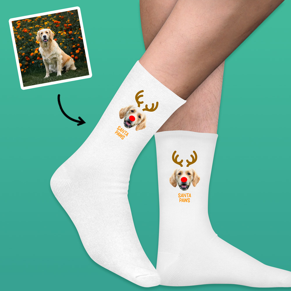 A pair of custom pet socks that has been personalised with a dog's face wearing antlers and a red nose like Rudolph alongside custom text reading Santa Paws