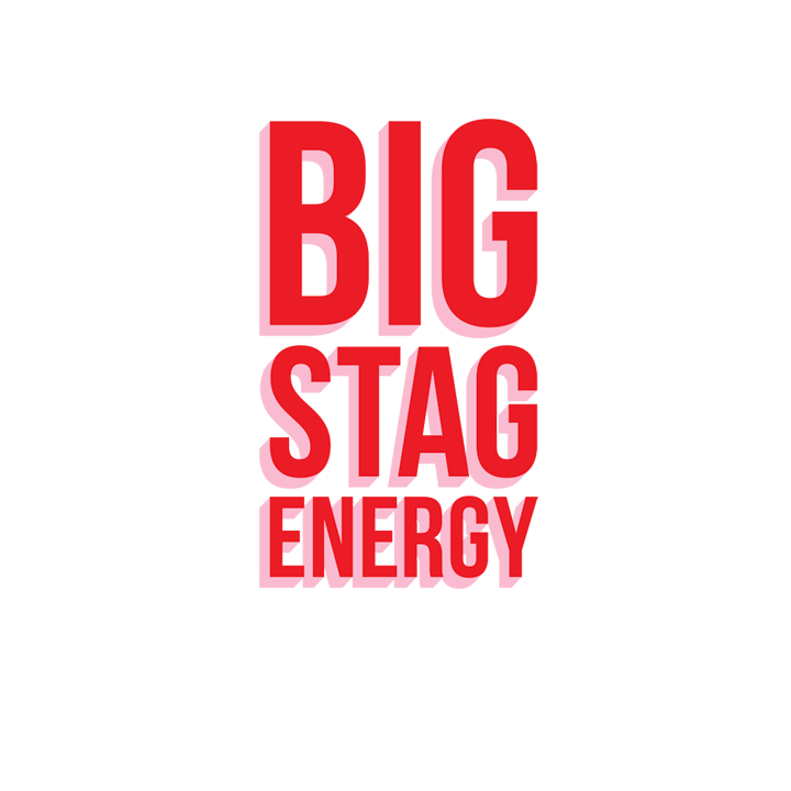 Big Stag Energy T-Shirt - back view'