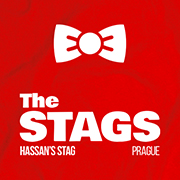 T-Shirts - Groom + Stags