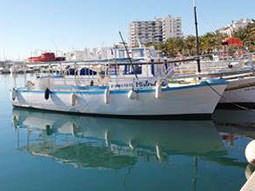 A boat next to some rocks with trees in the background