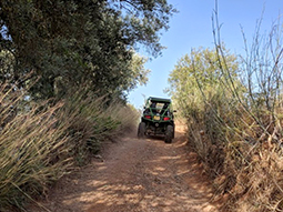 The rear of an off-road buggy driving on a dry dirt road