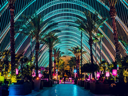 People drinking and socialising at L'umbracle in Valencia