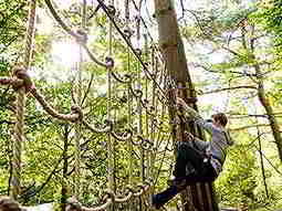 A man climbing on ropes in a forest