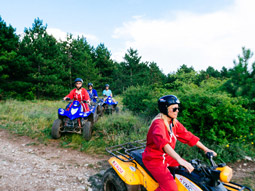 People riding quad bikes into the distance 