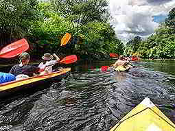 Two canoes full of people, sailing down a river with trees on either side