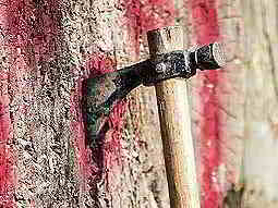 An axe sticking out of some wood