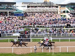 A group of horses racing past the finishing line on a grass racetrack