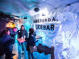 A group of people enjoying a drink in an ice bar in amsterdam