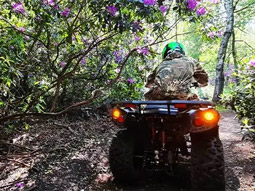 Birmingham Quad Biking