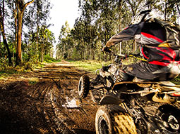 Someone on a quad bike riding through muddy terrain