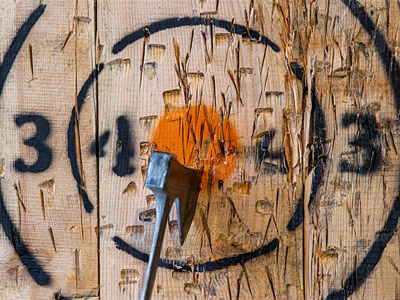 An axe in a wooden target at axe throwing in Split