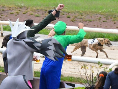Some men in fancy dress cheering on a greyhound who is racing 