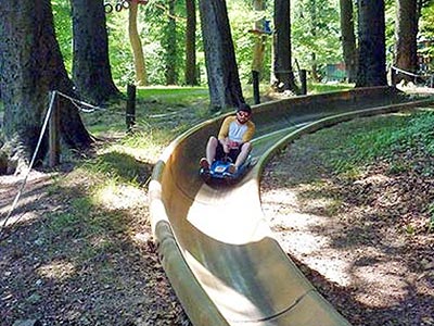 A man takes a corner on wheeled bobsleigh