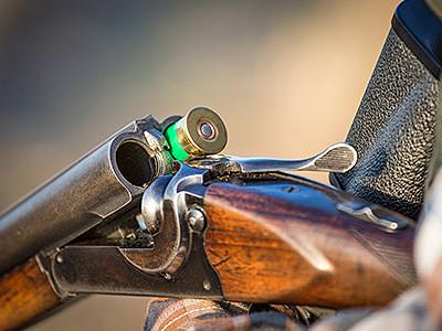 One cartridge in a shotgun barrel