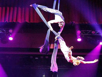  Benidorm Palace Cabaret Show & Meal - Rank #4 Benidorm Nightlife Hen Activities