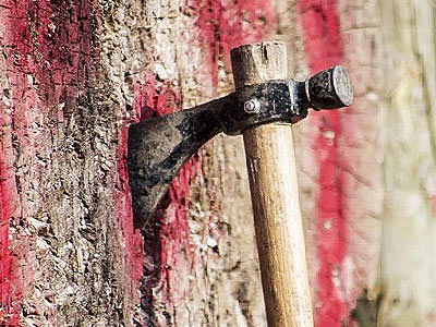 An axe sticking out of some wood