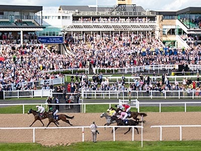 A group of horses racing past the finishing line on a grass racetrack