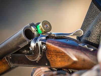 A double barrelled shotgun cracked open, containing one green shotgun shell