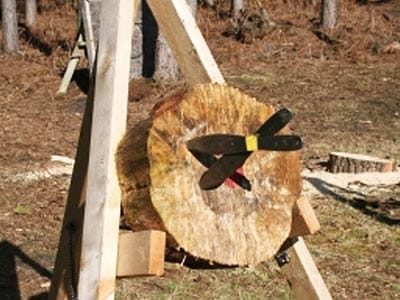 A wooden tree stump with two knives thrown into it