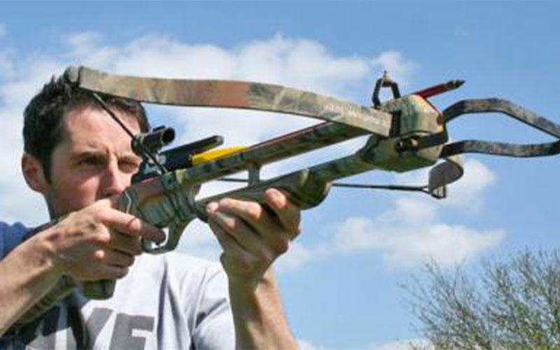 Take aim at a range of targets 