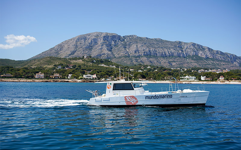 catamaran cruise in benidorm