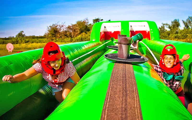 Some hens playing the West Country Games