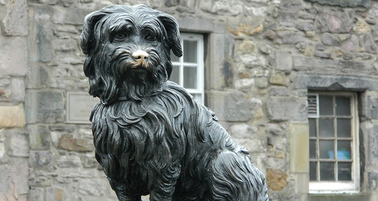 https://media.lastnightoffreedom.co.uk/i/Webpages/hen-guide/cultural-edinburgh-greyfriars-bobby.jpg - Rank #10