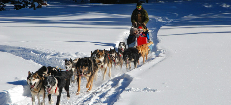 Huskies pulling a sled in deep snow