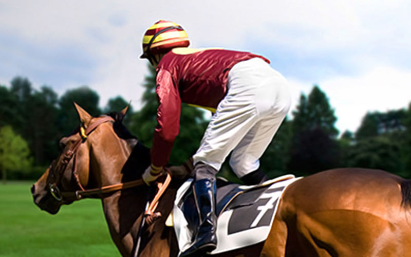 A jockey on a horse